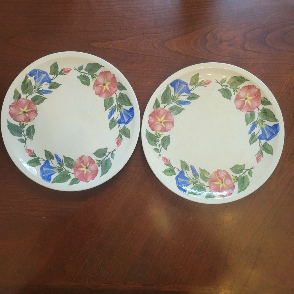 Paden City Shenandoah Dinner Plates Set Of 2 Vintage Floral 9.5" Diameter Stonew
